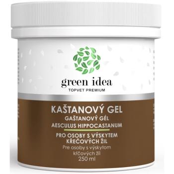 Green Idea Massage gel Chestnut gel masaj pentru vene si artere 250 ml