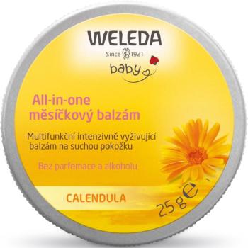 Weleda Baby Derma balsam pentru piele uscata si sensibila 25 g