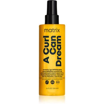 Matrix A Curl Can Dream spray pentru definirea onduleurilor 250 ml