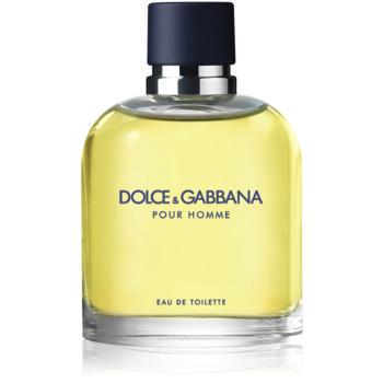 Dolce & Gabbana Pour Homme Eau de Toilette pentru bărbați 75 ml