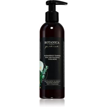 Soaphoria Botanica Slavica Rosemary sampon intens pentru întărirea și creșterea părului 250 ml