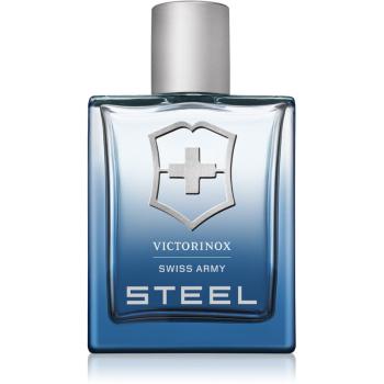 Victorinox Steel Eau de Toilette pentru bărbați 100 ml