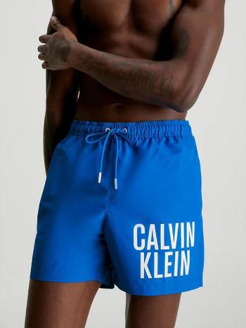 Calvin Klein Underwear	 Costum de baie Albastru