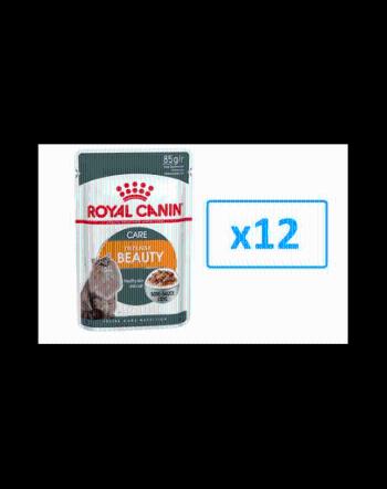 Royal Canin Intense Beauty Care Adult hrana umeda in sos pisica pentru piele si blana sanatoase, 12 x 85 g