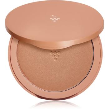 Caudalie Vinocrush Longlasting Bronzer Powder machiaj compact persistent pentru o piele mai luminoasa culoare 8,5 g