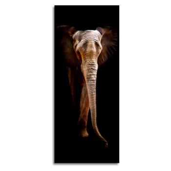 Tablou Styler Elephant, 125 x 50 cm