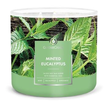 Lumânare parfumată Goose Creek Minted Eucalyptus, timp de ardere 35 h