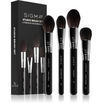 Sigma Beauty Studio Brush Set set perii machiaj (pentru femei)