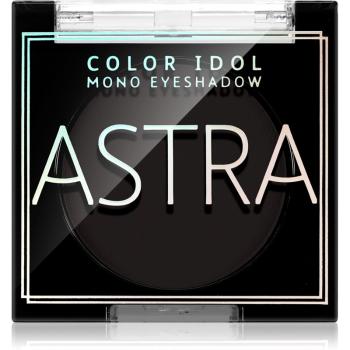 Astra Make-up Color Idol Mono Eyeshadow fard ochi culoare 10 R&B(lack) 2,2 g