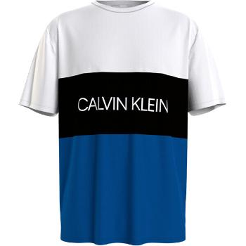 Calvin Klein Tricou pentru bărbați KM0KM00603-C5D L