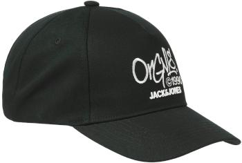 Jack&Jones Șapcă pentru bărbați JACPAINT 12263303 Black