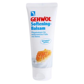 Gehwol Classic balsam pentru ingrijirea picioarelor fine si matasoase 125 ml