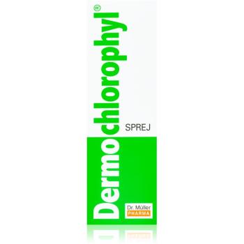 Dr. Müller DermoChlorophyl® spray vindecarea ranilor 50 ml