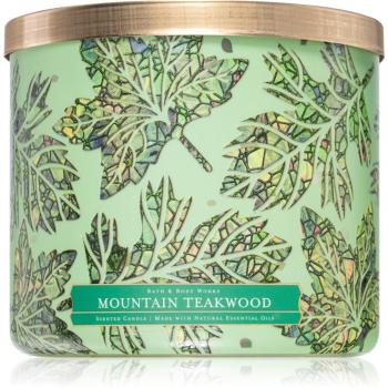 Bath & Body Works Mountain Teakwood lumânare parfumată 411 g