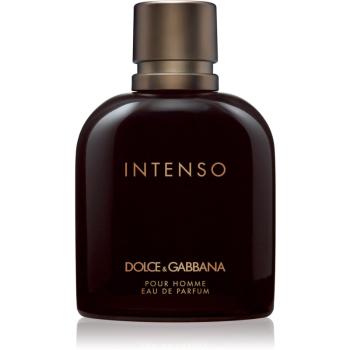 Dolce & Gabbana Pour Homme Intenso Eau de Parfum pentru bărbați 125 ml