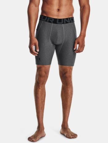 Under Armour UA HG Armour Pantaloni scurți Gri