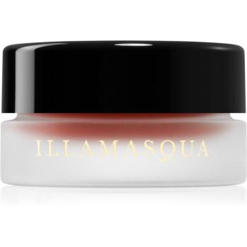 Illamasqua Colour Veil blush cremos culoare Consume 4,5 ml