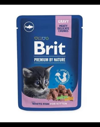 BRIT PREMIUM Pouch White Fish Kitten 24x100gPlicuri harana pisoi, cu peste alb