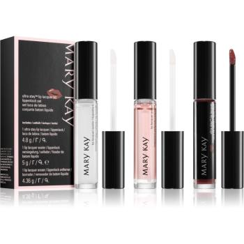 Mary Kay Ultra Stay Lip Lacquer Kit set cosmetice decorative de buze culoare Rose