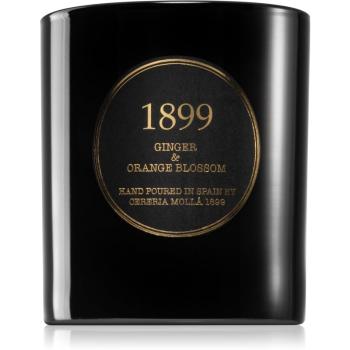 Cereria Mollá Gold Edition Ginger & Orange Blossom lumânare parfumată 230 g