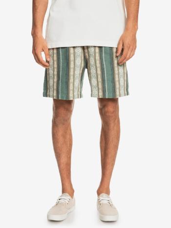 Quiksilver Taxeryd Pantaloni scurți Verde