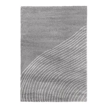 Covor gri 160x230 cm Coastalina – Bonami Selection