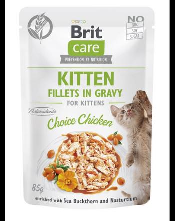 BRIT CARE Fillets in Jelly Pouch Kitten Choice Chicken 24x85g Plicuri hrana pisoi, cu pui