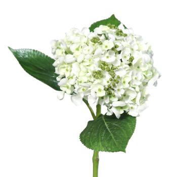Hortensie artificială albă, 44 cm