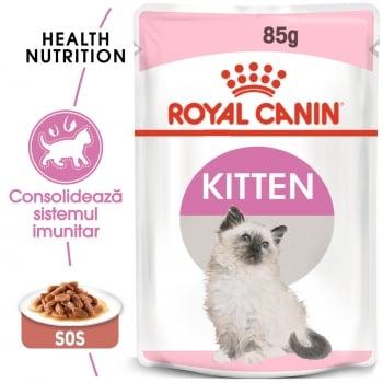 Royal Canin Kitten, plic hrană umedă pisici, (în sos), 85g