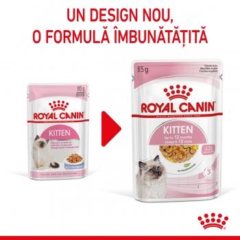 ROYAL CANIN Kitten, plic hrană umedă pisici, (în aspic), 85g