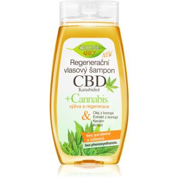 Bione Cosmetics Cannabis CBD sampon pentru regenerare cu CBD 260 ml