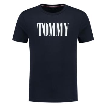 Tommy Hilfiger Tricou pentru bărbați Regular Fit UM0UM02534-DW5 S