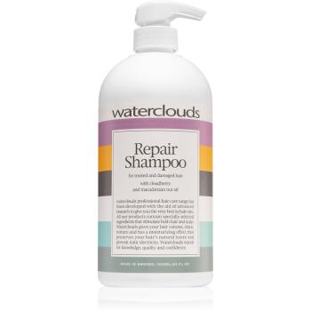 Waterclouds Repair Shampoo șampon de îngrijire delicată 1000 ml