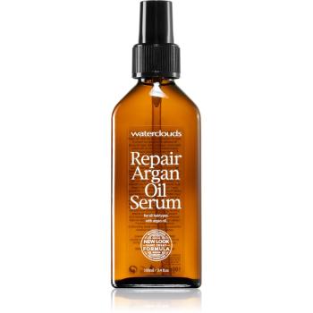 Waterclouds Repair Argan oil serum ser ulei pentru păr 100 ml