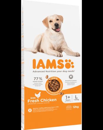 IAMS ProActive Health Adult Large Breed cu pui 12 kg