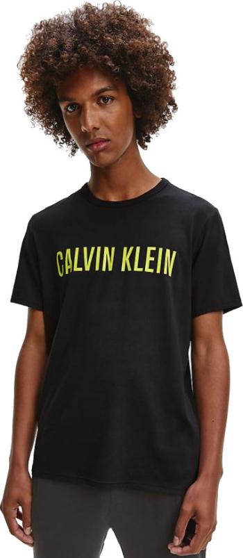 Calvin Klein Tricou pentru bărbați Regular Fit NM1959E-W10 XL