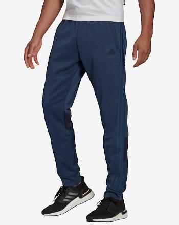 adidas Performance Sportswear Pantaloni de trening Albastru