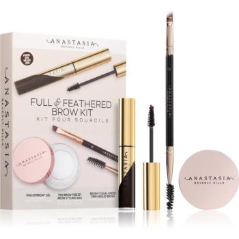 Anastasia Beverly Hills Full & Feathered Brow Kit Mini kit pentru sprâncene Ebony culoare