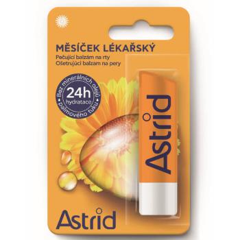 Astrid Balsam pentru îngrijirea buzelor 4,8 g