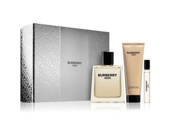 Burberry Burberry Hero - EDT 100 ml + gel de duș 75 ml + EDT 10 ml