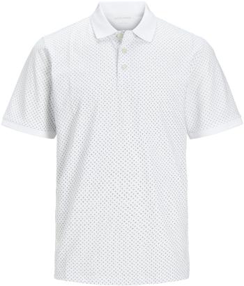 Jack&Jones PLUS Tricou polo pentru bărbați JJLUIS Standard Fit 12254901 White 3XL