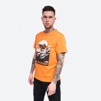 The North Face S/S Natural Wonders Tee NF0A4T1GPKH