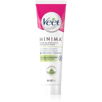 Veet Minima Dry Skin cremă depilatoare cu efect hidratant pentru piele uscata 100 ml