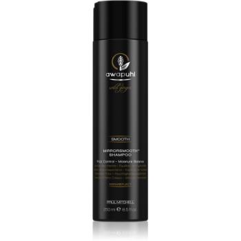 Paul Mitchell Awapuhi Wild Ginger sampon pentru indreptarea parului pentru par indisciplinat 250 ml