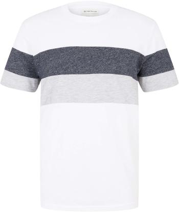 Tom Tailor Tricou pentru bărbați Regular Fit 1030602.20000 XL