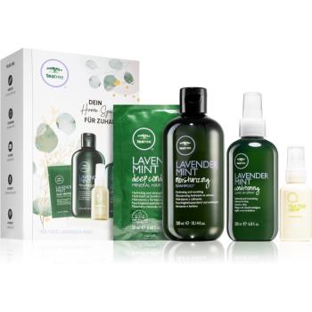 Paul Mitchell Tea Tree Lavender Mint set (pentru toate tipurile de păr)