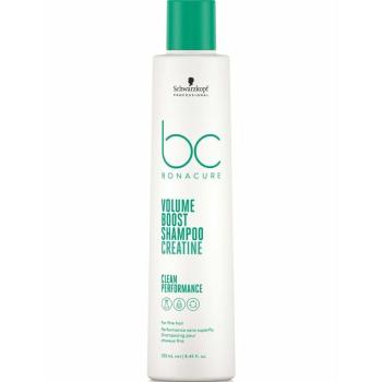 Schwarzkopf Professional Șampon pentru volumul părului fin Volume Boost (Shampoo) 1000 ml