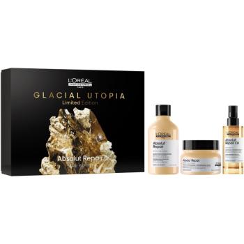 L’Oréal Professionnel Serie Expert Absolut Repair set cadou (pentru par deteriorat)