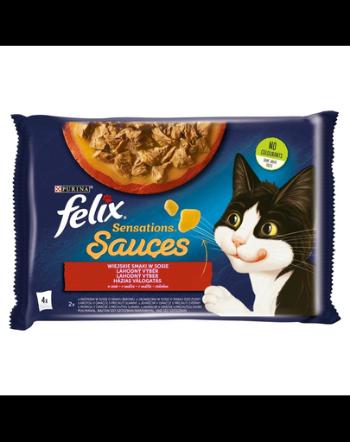 FELIX Sensations Sauce Hrana umeda cu miel si curcan in sos pentru pisici adulte/sterliizate 4x85g