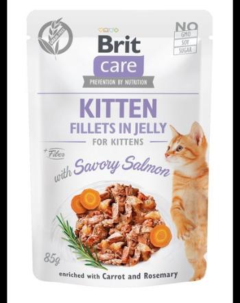 BRIT Care Kitten Fillets in Jelly Set hrana umeda pentru pisoi, cu somon in aspic 24 x 85 g